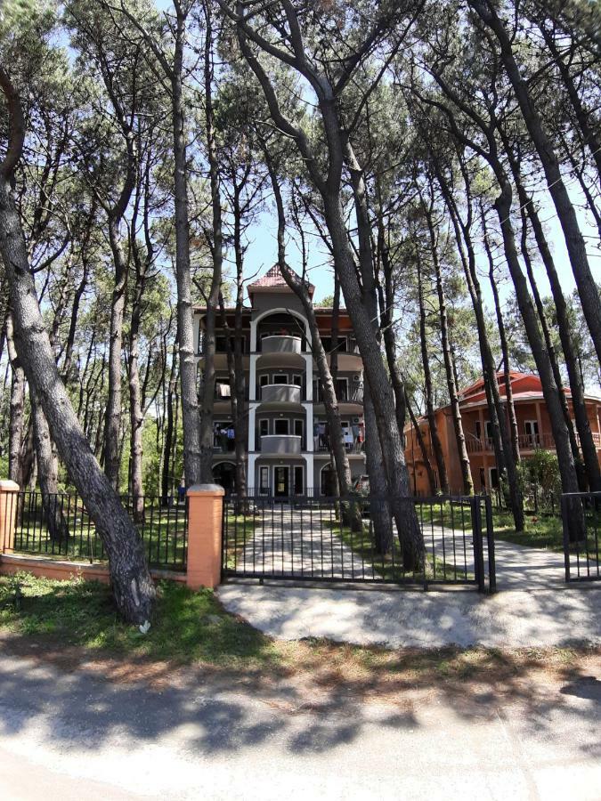 Hotel Niko Shekhvetili Exterior photo
